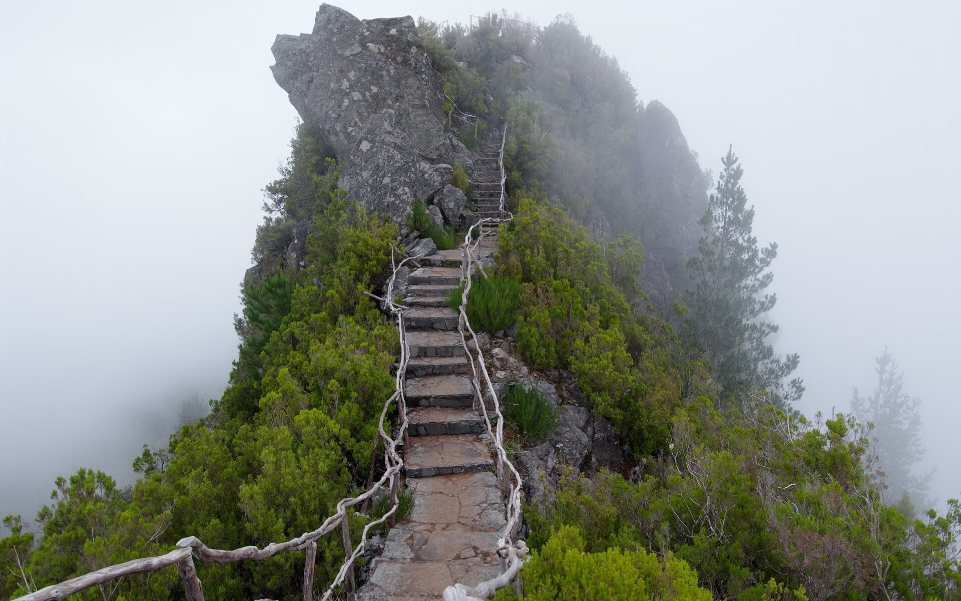 开云体育首页-尼克斯险胜雷霆，全明星赛前哨战中布伦森三分雨不断，尼克 布里科斯