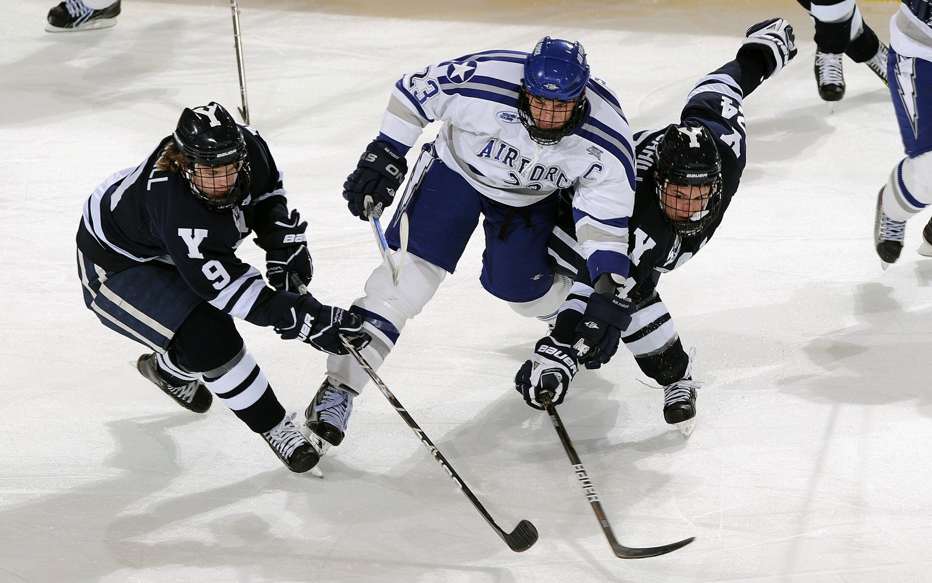 世界各地的F1激情盛会，世界各地的f1激情盛会图片